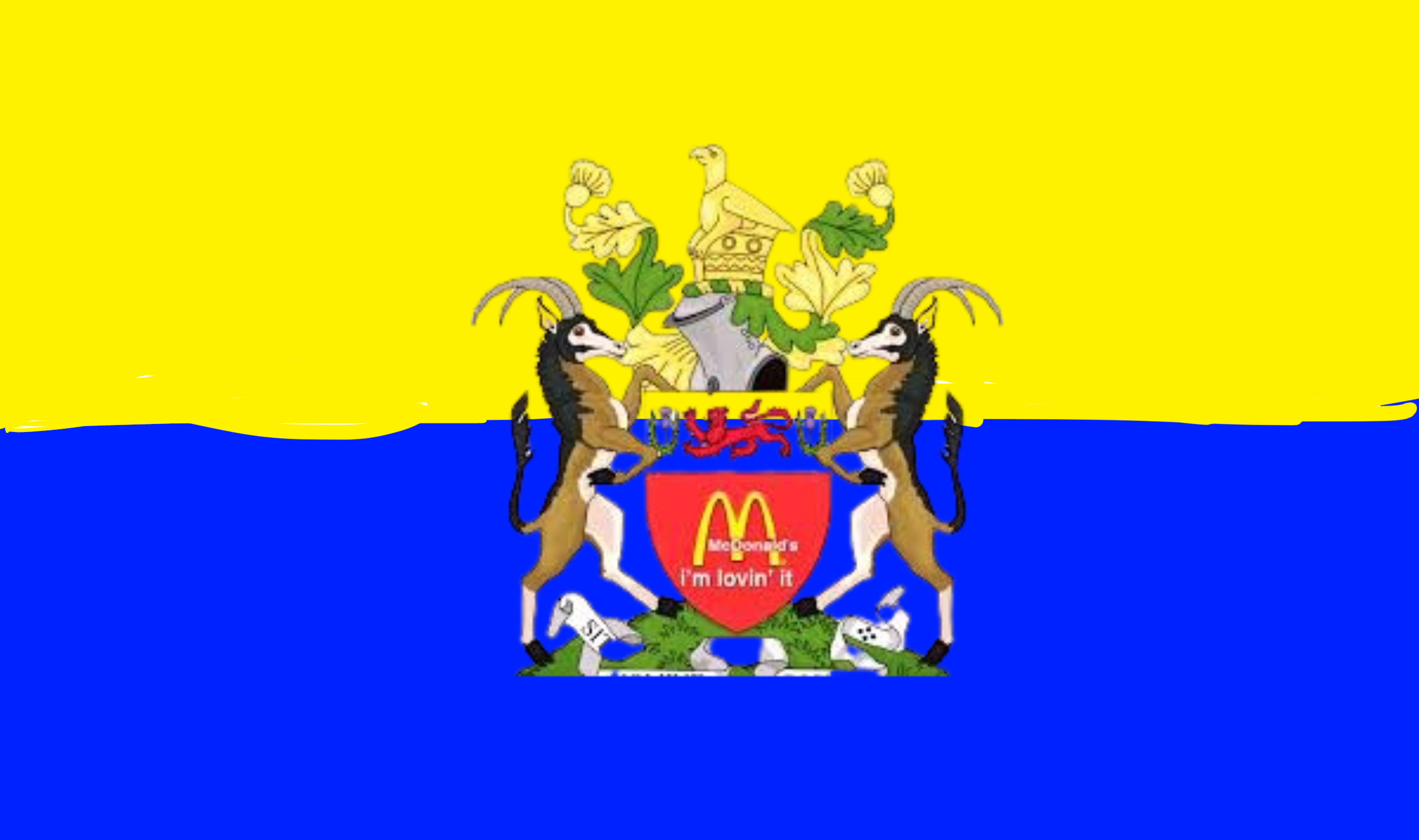 Файл:ZatupiaFlag.png